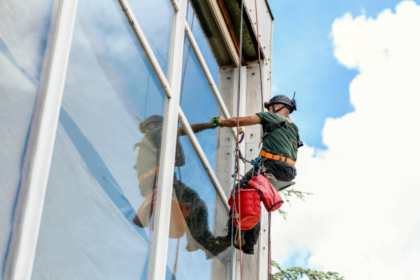 Window Caulking